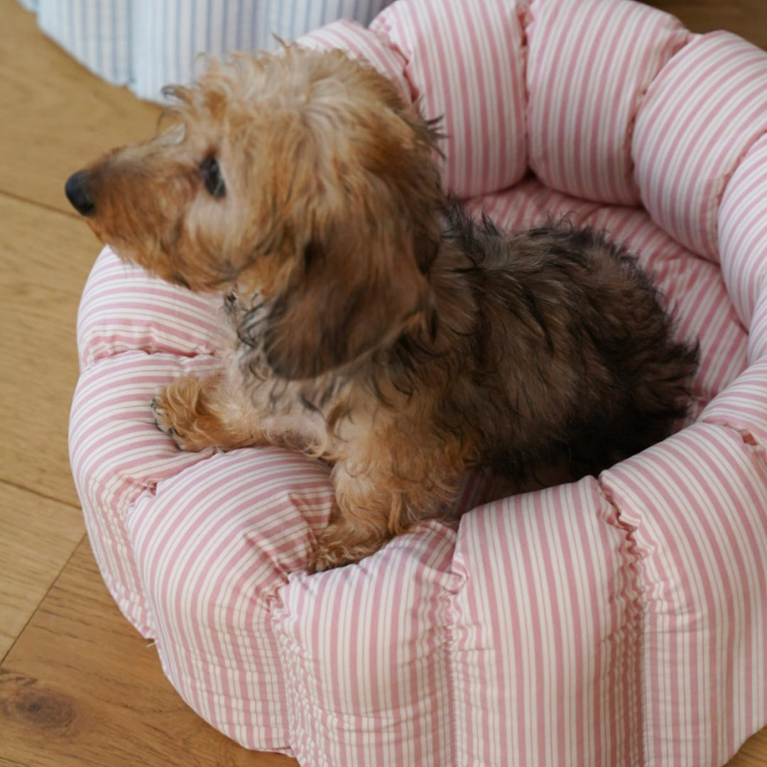 ※予約販売【azalea】Canele Cushion（New Stripe Pink）