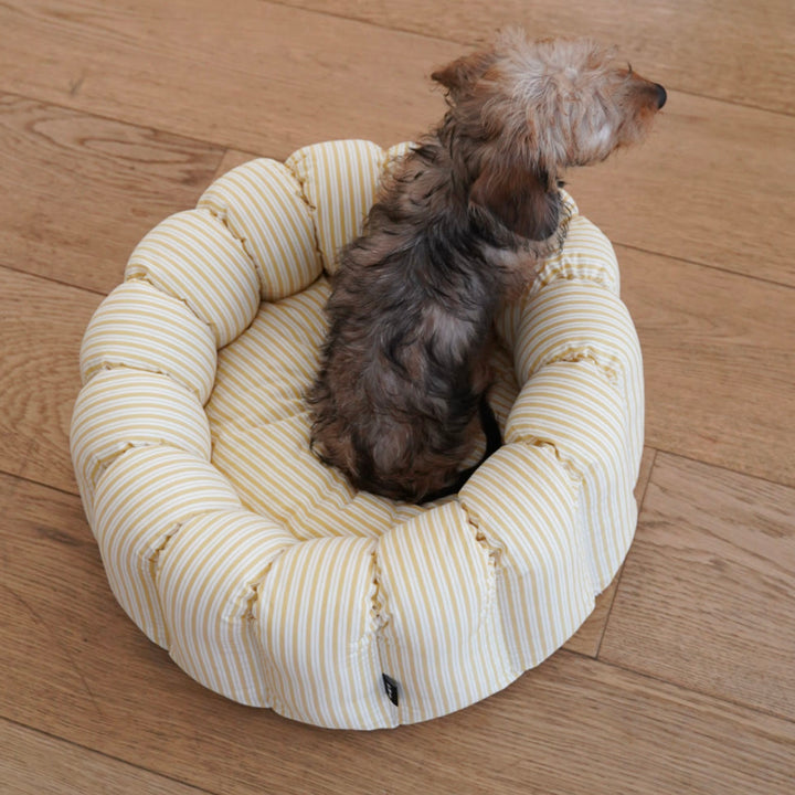 ※予約販売【azalea】Canele Cushion（New Stripe Yellow）