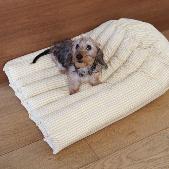 ※予約販売【azalea】Canele Cushion（New Stripe Yellow）