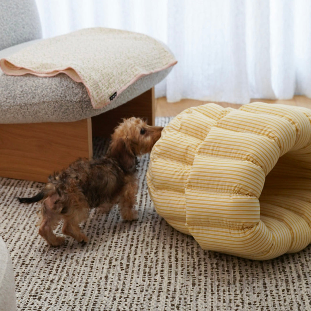 ※予約販売【azalea】Canele Cushion（New Stripe Yellow）