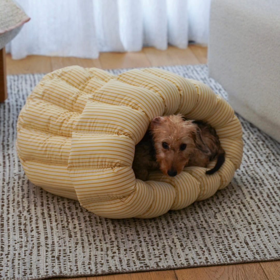 ※予約販売【azalea】Canele Cushion（New Stripe Yellow）
