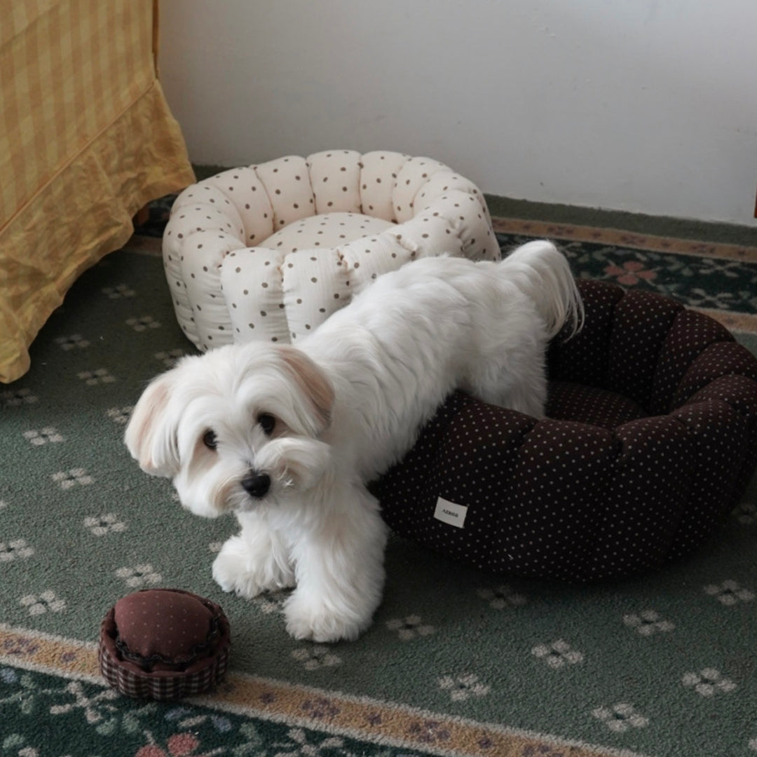 ※予約販売【azalea】Canele Cushion（Ivory Dot）
