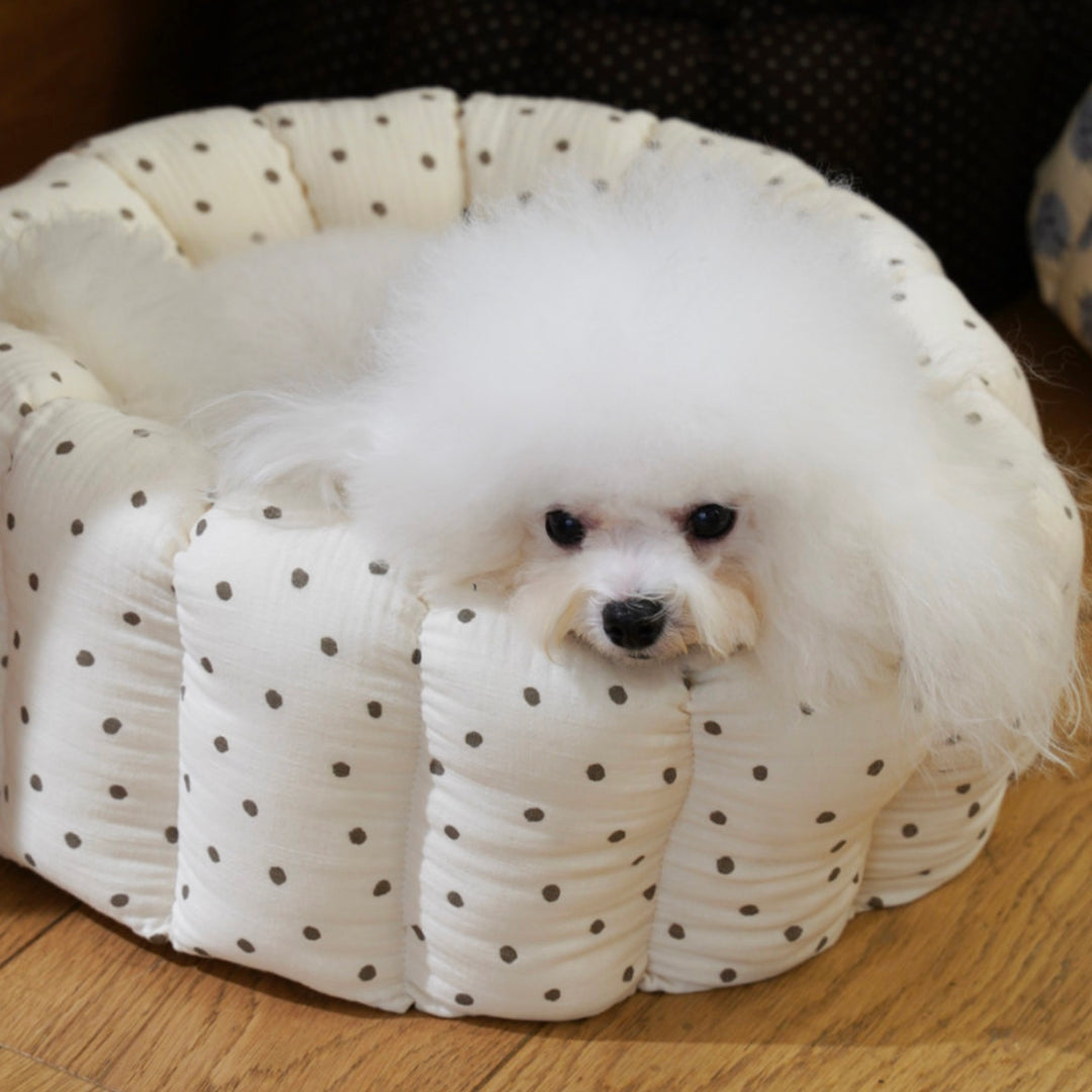 ※予約販売【azalea】Canele Cushion（Ivory Dot）