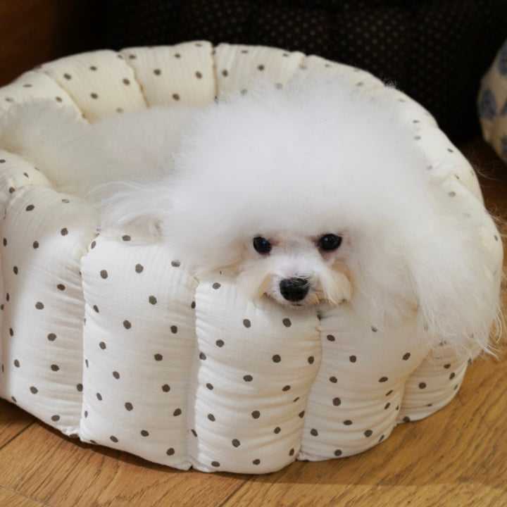※予約販売【azalea】Canele Cushion（Ivory Dot）
