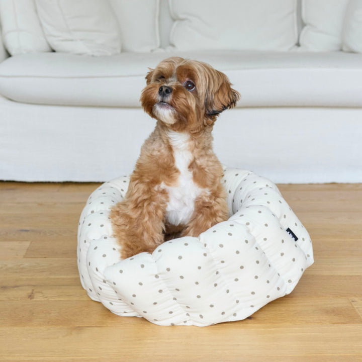 ※予約販売【azalea】Canele Cushion（Ivory Dot）