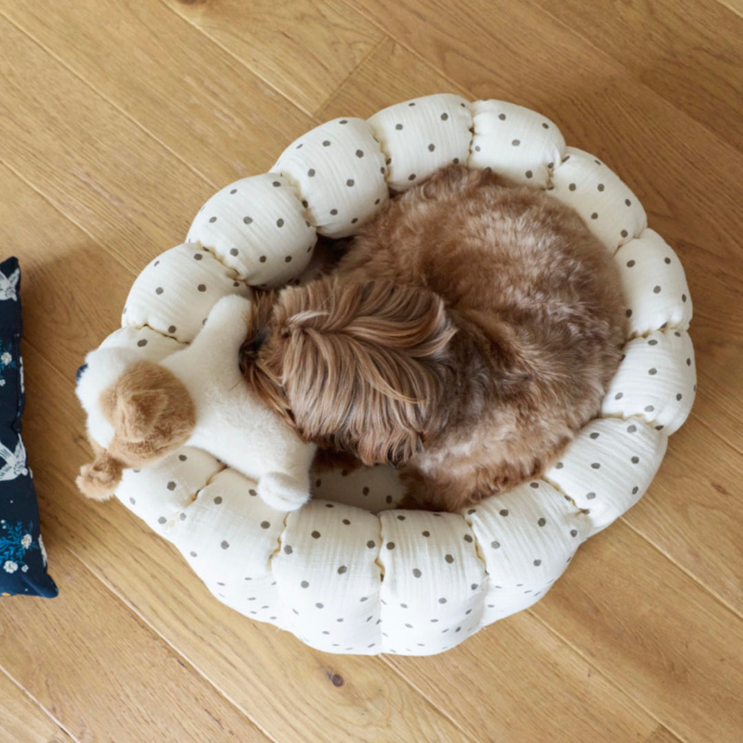 ※予約販売【azalea】Canele Cushion（Ivory Dot）