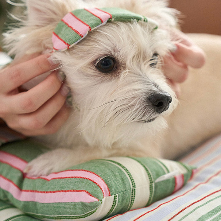 ※予約販売【noutti】Poppy Stripe Pillow（2color）