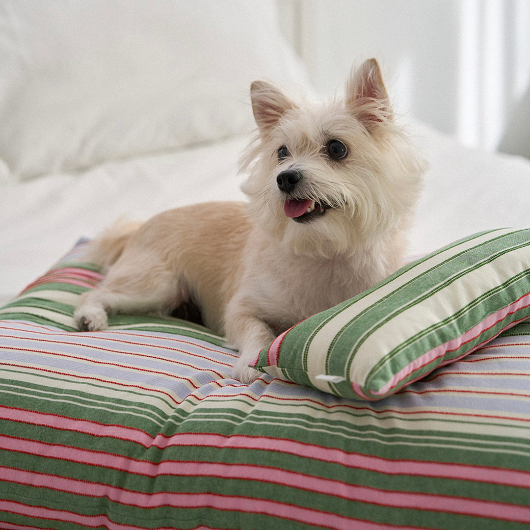 ※予約販売【noutti】Poppy Stripe Pillow（2color）