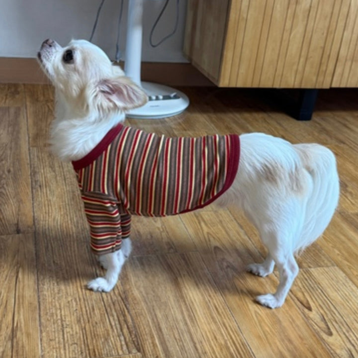 ※予約販売【CRR】Autumn Stripe Top（Cherry Brown）