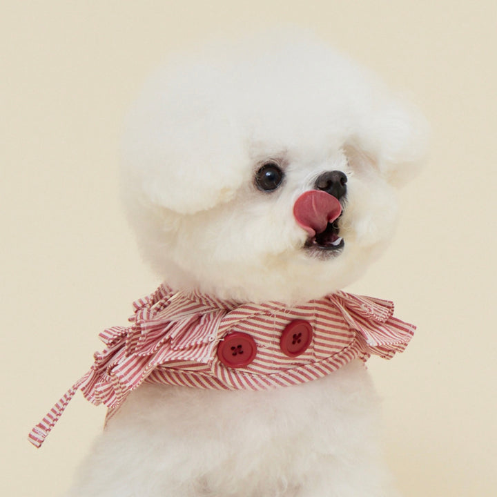 ※予約販売【meaningless】Anna Harness（Stripe Red）｜犬用ハーネス