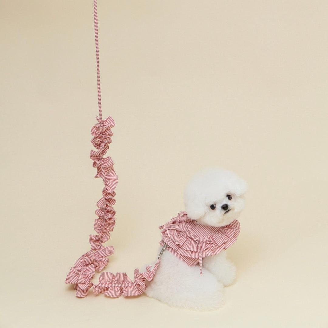 ※予約販売【meaningless】Anna Harness（Stripe Red）｜犬用ハーネス
