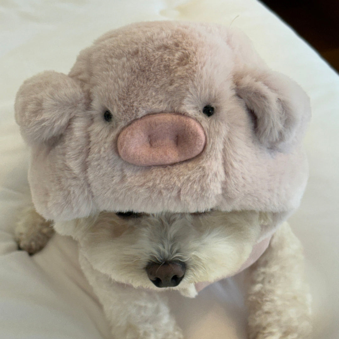 ※予約販売【meaningless】Piglet Honey Padding