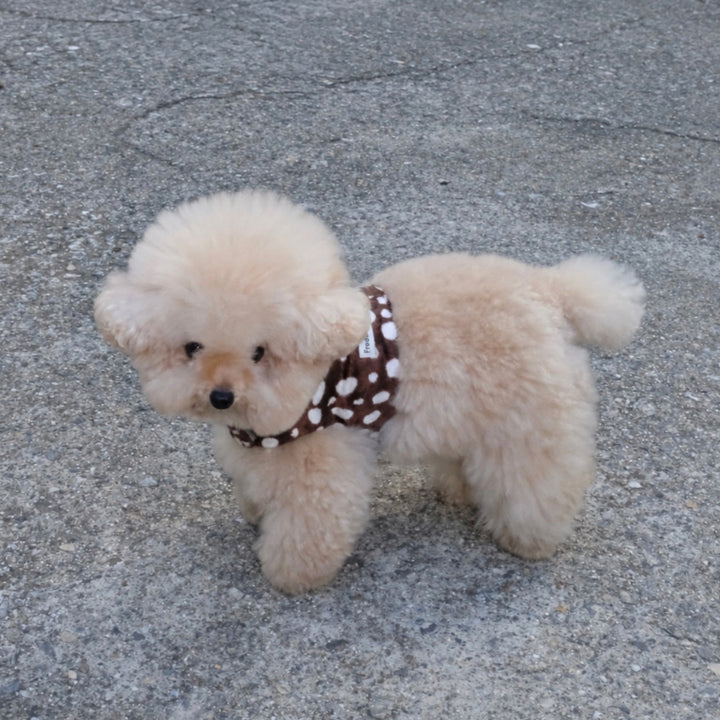 ※予約販売【FREDDIE TALE】Moo Harness（Choco）｜犬用ハーネス
