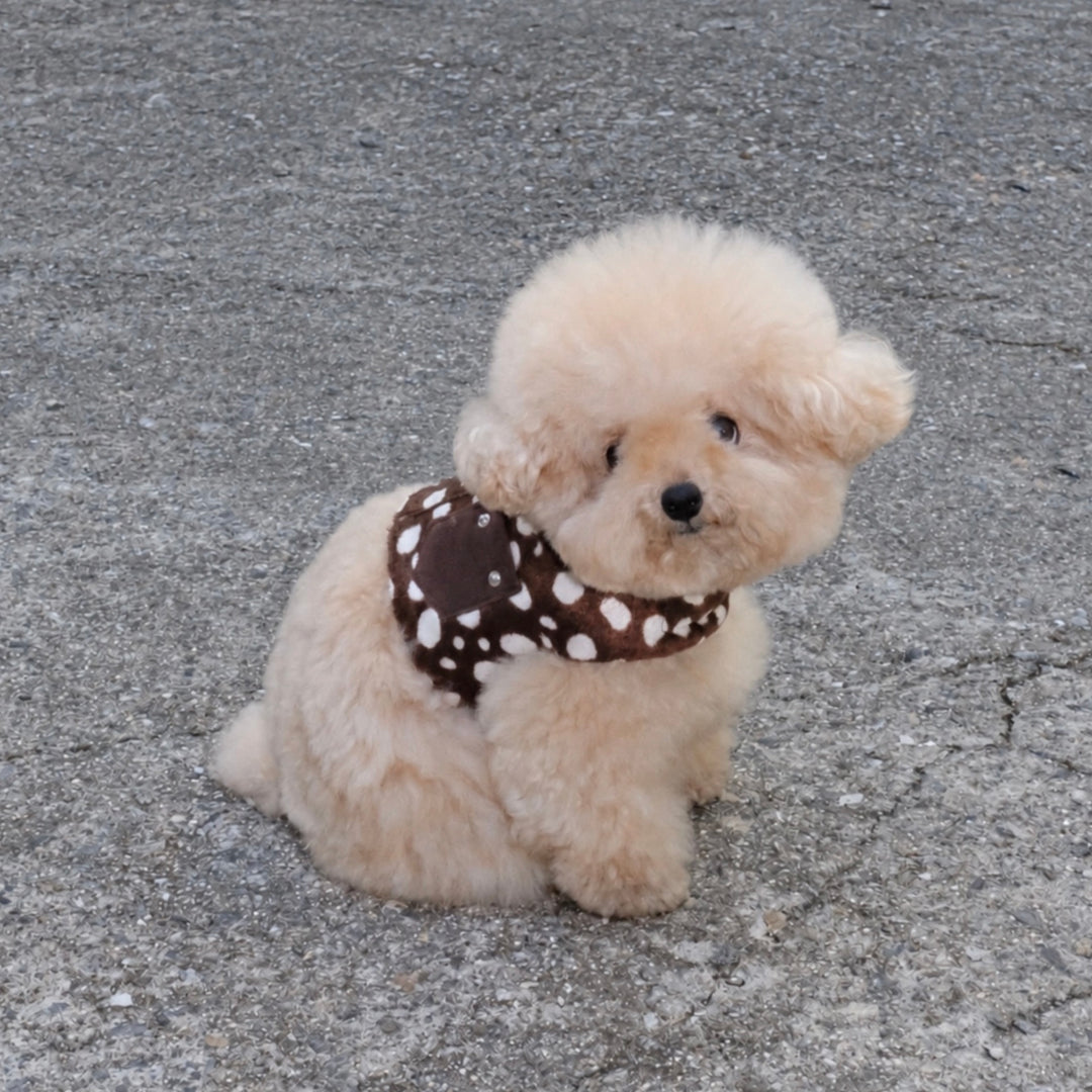 ※予約販売【FREDDIE TALE】Moo Harness（Choco）｜犬用ハーネス