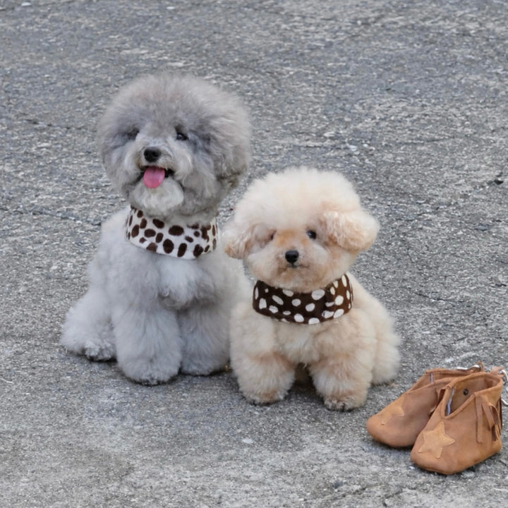 ※予約販売【FREDDIE TALE】Moo Harness（Choco）｜犬用ハーネス