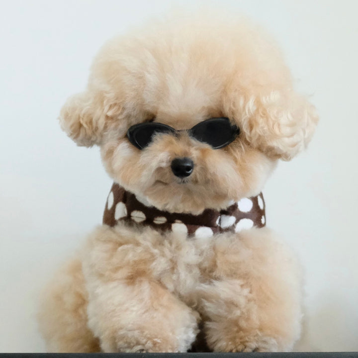 ※予約販売【FREDDIE TALE】Moo Harness（Choco）｜犬用ハーネス