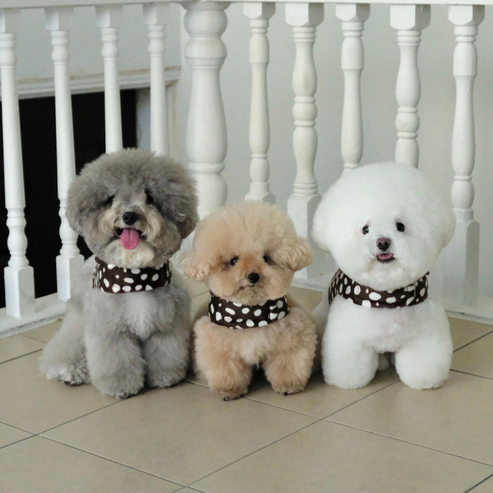 ※予約販売【FREDDIE TALE】Moo Harness（Choco）｜犬用ハーネス