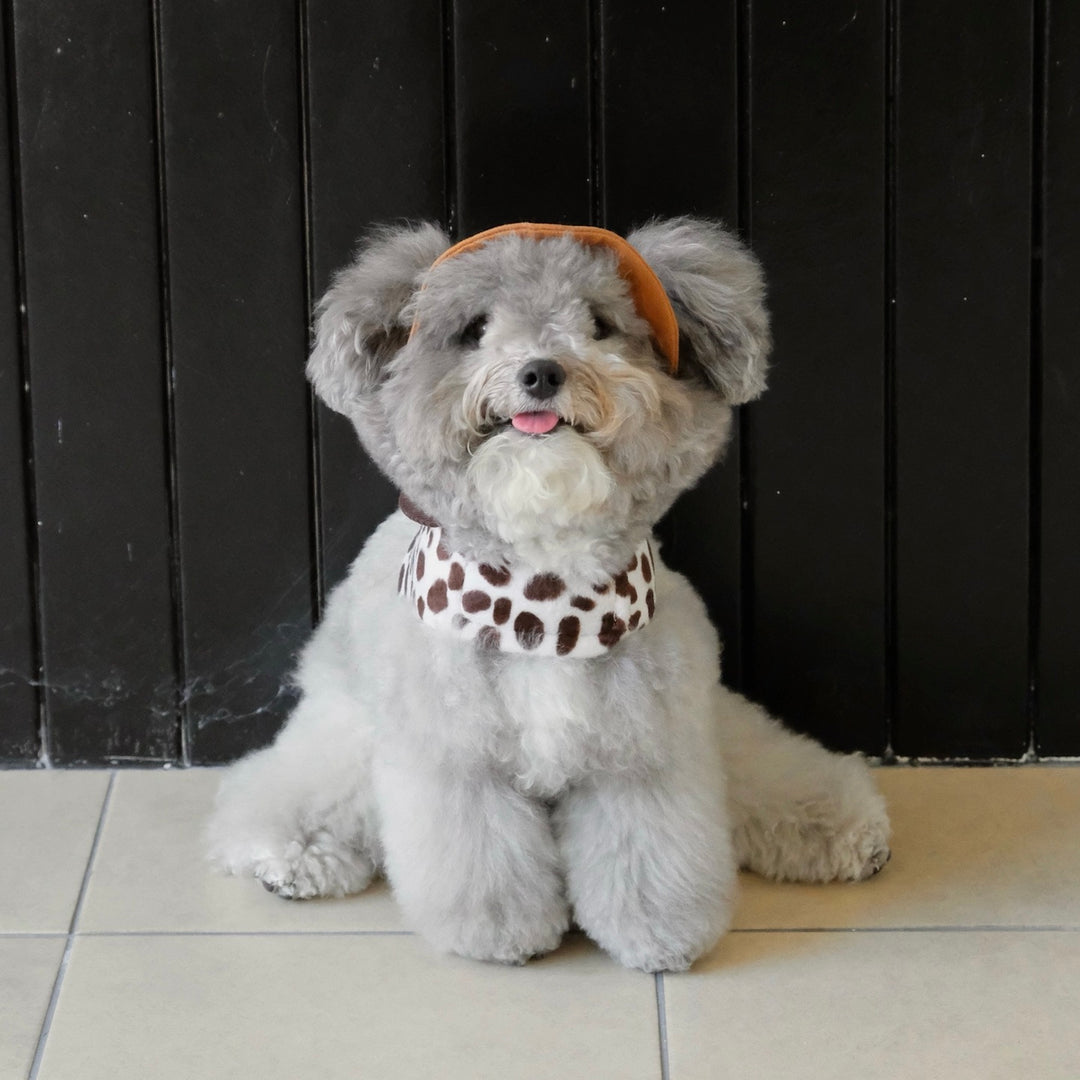 ※予約販売【FREDDIE TALE】Moo Harness（Milk）｜犬用ハーネス