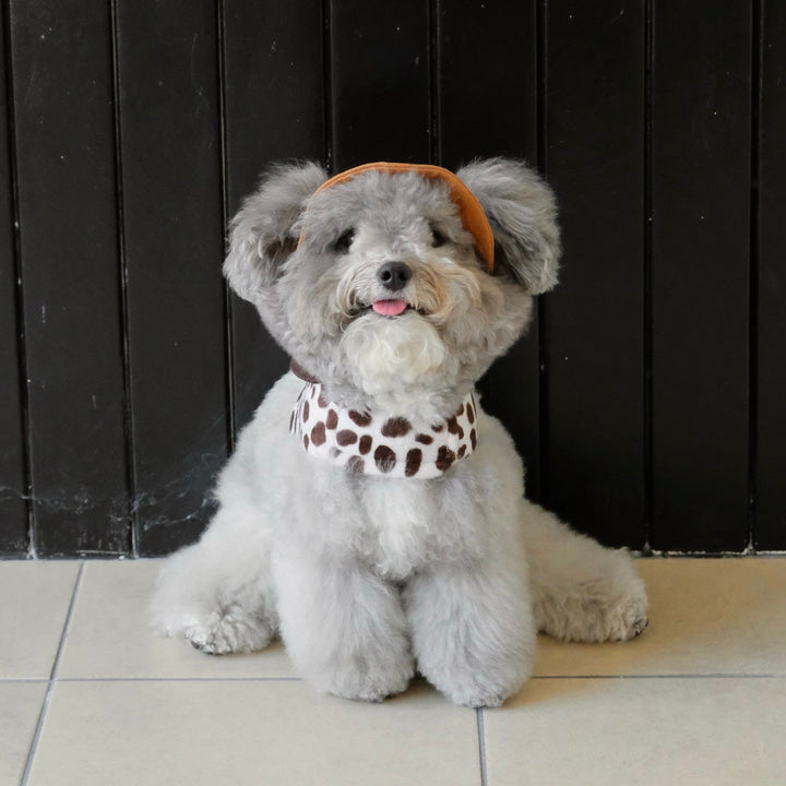 ※予約販売【FREDDIE TALE】Moo Harness（Milk）｜犬用ハーネス