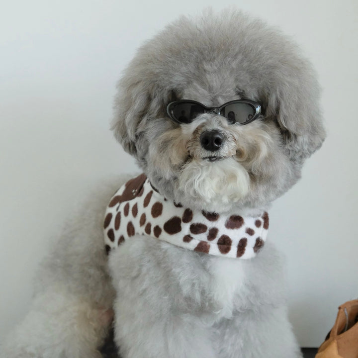 ※予約販売【FREDDIE TALE】Moo Harness（Milk）｜犬用ハーネス