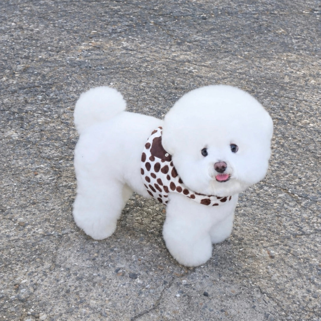 ※予約販売【FREDDIE TALE】Moo Harness（Milk）｜犬用ハーネス
