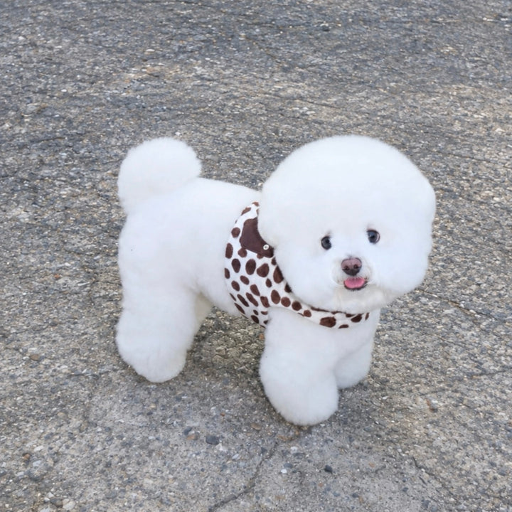 ※予約販売【FREDDIE TALE】Moo Harness（Milk）｜犬用ハーネス