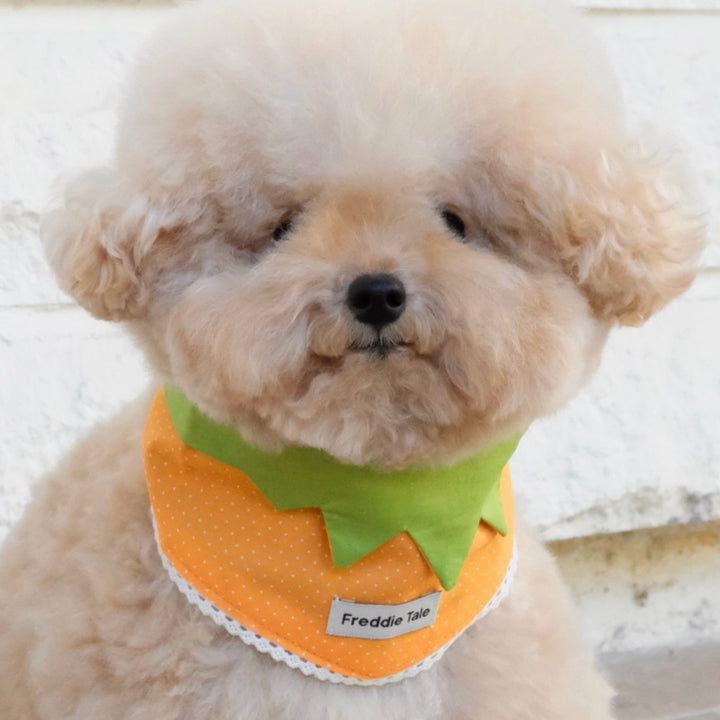 ※予約販売【FREDDIE TALE】Very Veggie Bandana（Orange）