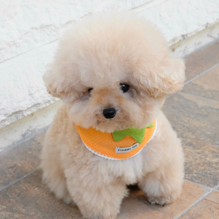 ※予約販売【FREDDIE TALE】Very Veggie Bandana（Orange）