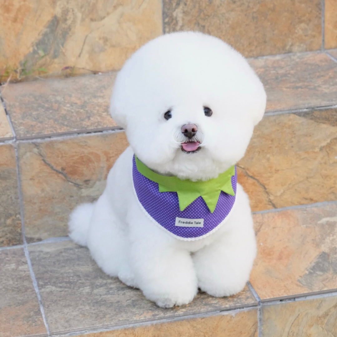 ※予約販売【FREDDIE TALE】Very Veggie Bandana（Purple）