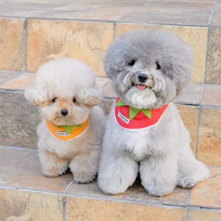 ※予約販売【FREDDIE TALE】Very Veggie Bandana（Orange）