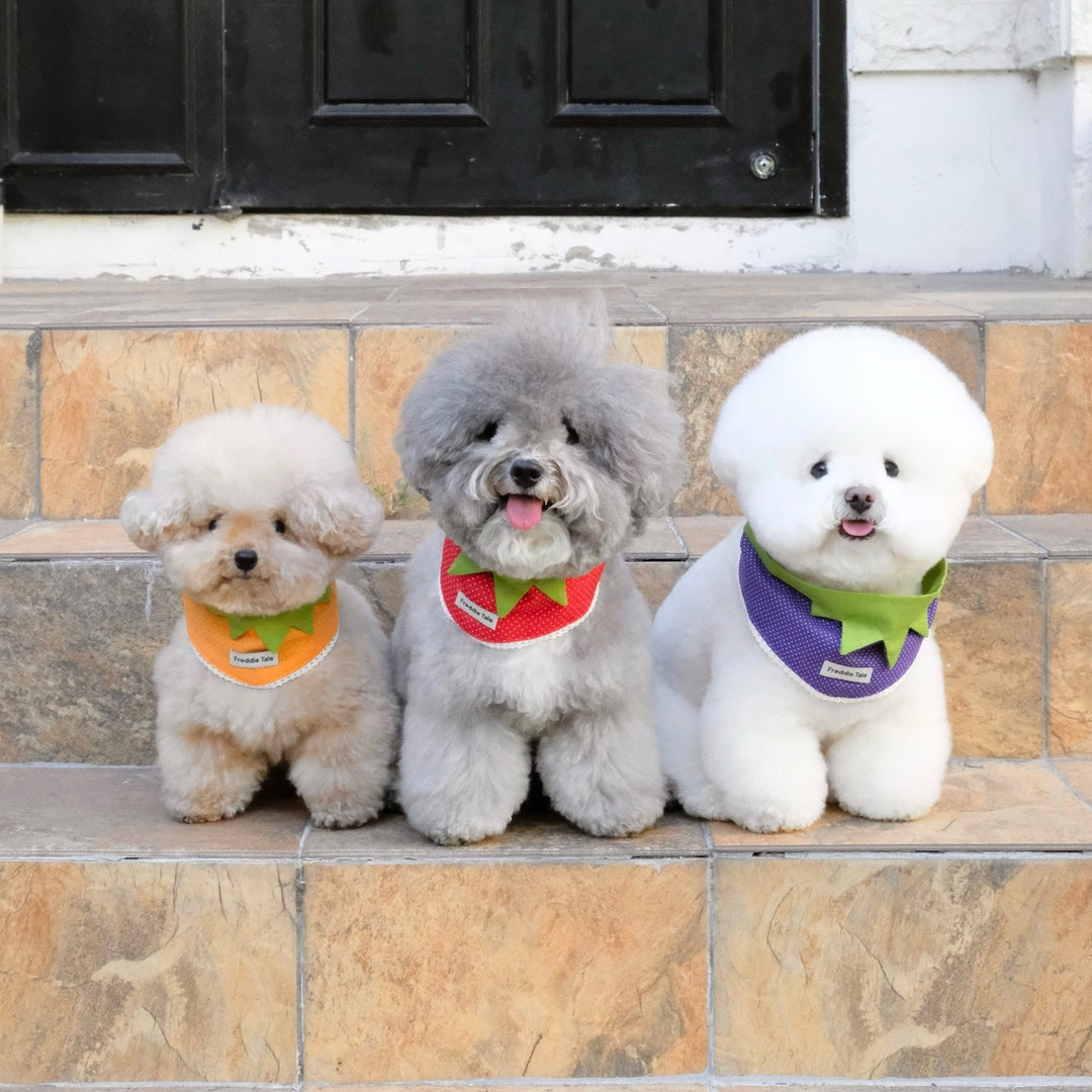 ※予約販売【FREDDIE TALE】Very Veggie Bandana（Orange）
