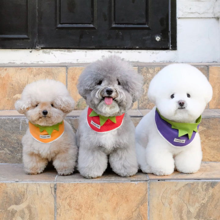 ※予約販売【FREDDIE TALE】Very Veggie Bandana（Orange）