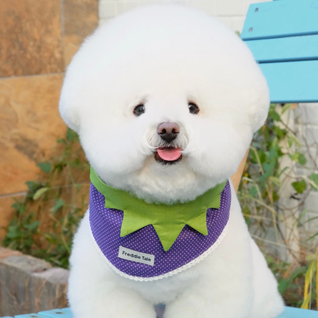 ※予約販売【FREDDIE TALE】Very Veggie Bandana（Purple）