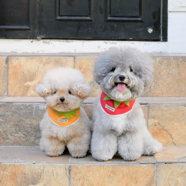 ※予約販売【FREDDIE TALE】Very Veggie Bandana（Orange）