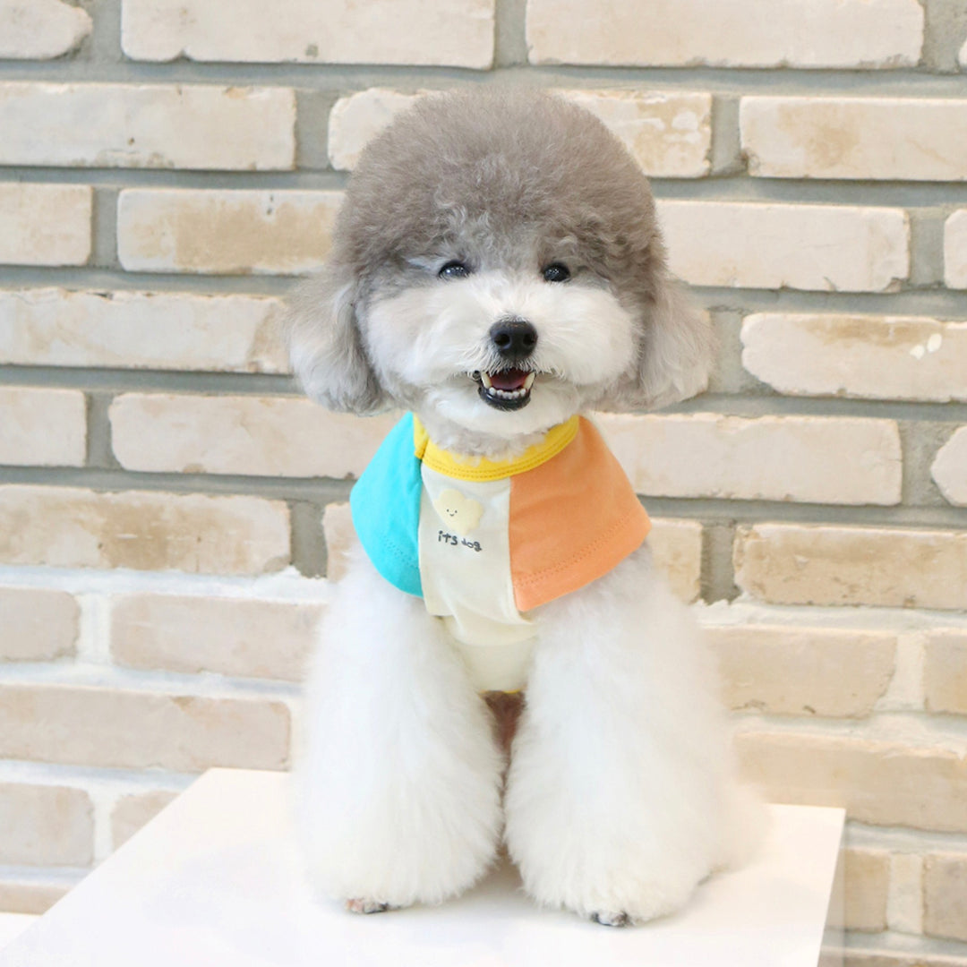 ※予約販売【ITS DOG】Yami Popcorn Color T-shirt
