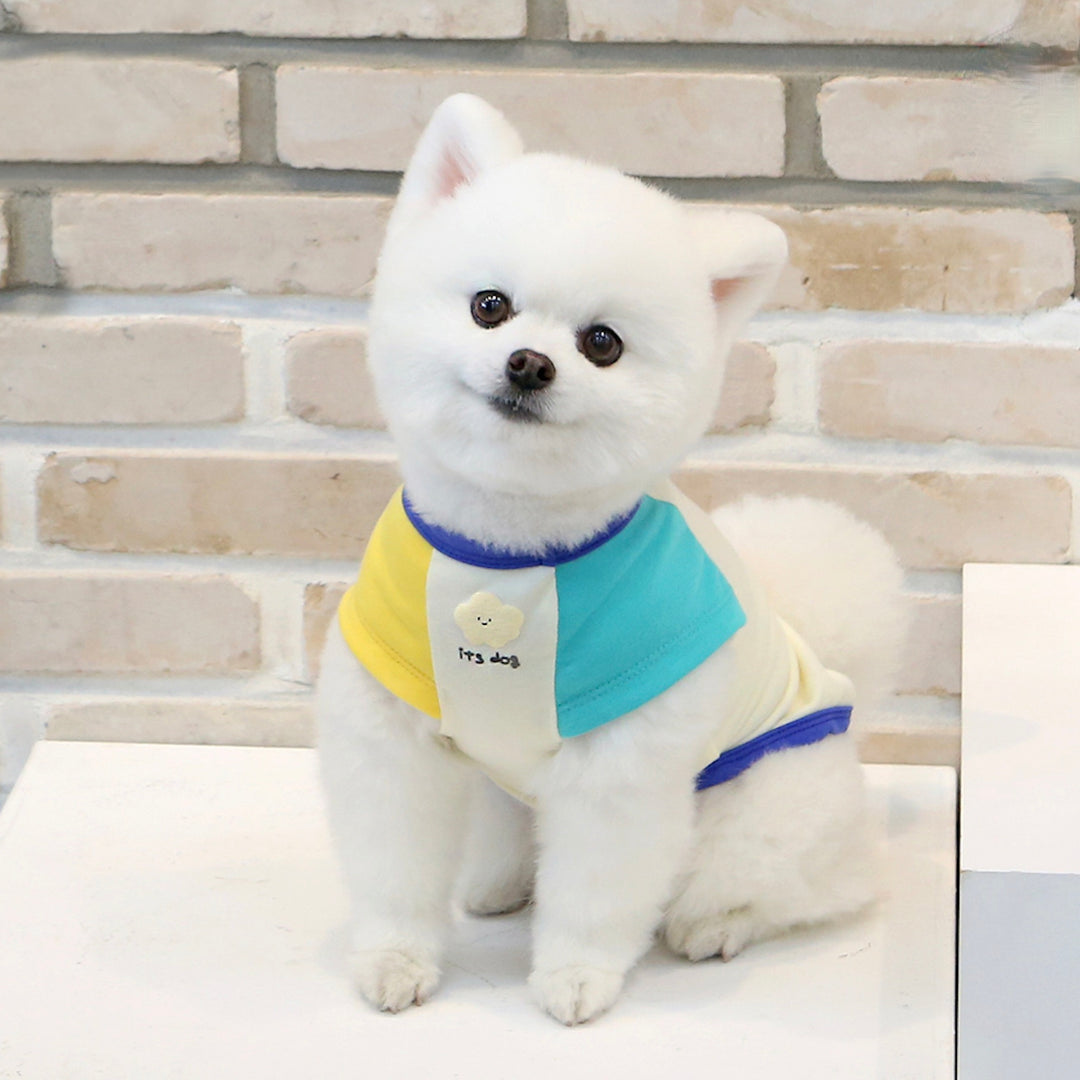 ※予約販売【ITS DOG】Yami Popcorn Color T-shirt