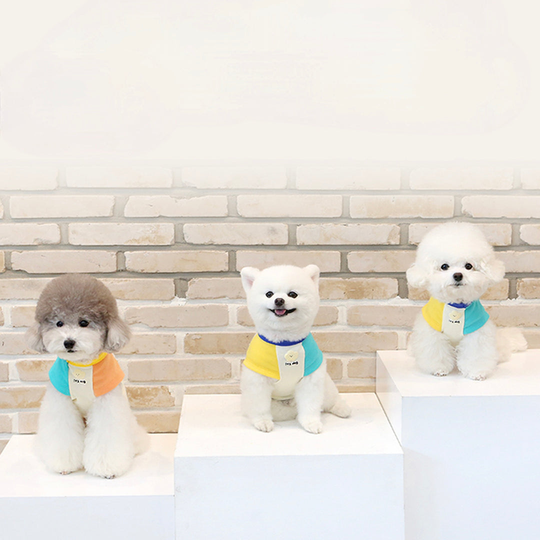 ※予約販売【ITS DOG】Yami Popcorn Color T-shirt