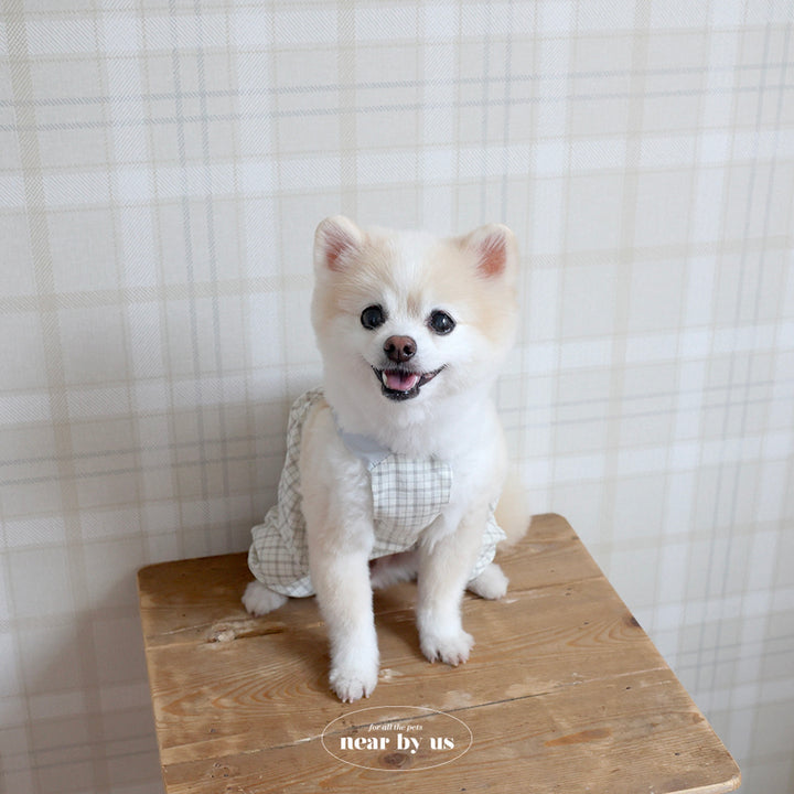 ※予約販売【near by us】Bagle Check Crop Top & Romper（Ivory）