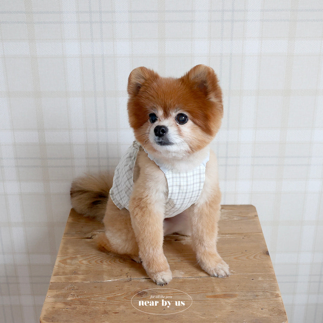 ※予約販売【near by us】Bagle Check Crop Top & Romper（Ivory）
