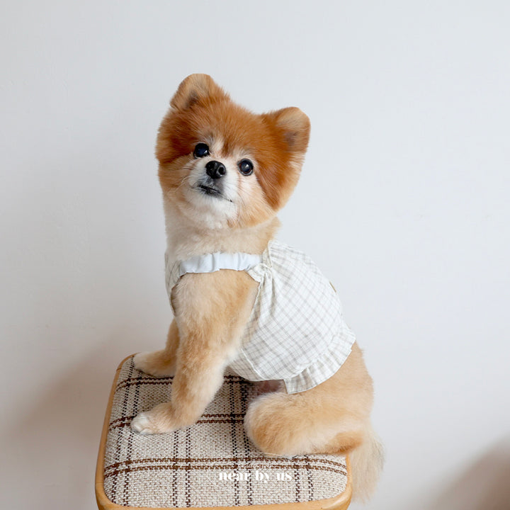 ※予約販売【near by us】Bagle Check Crop Top & Romper（Ivory）