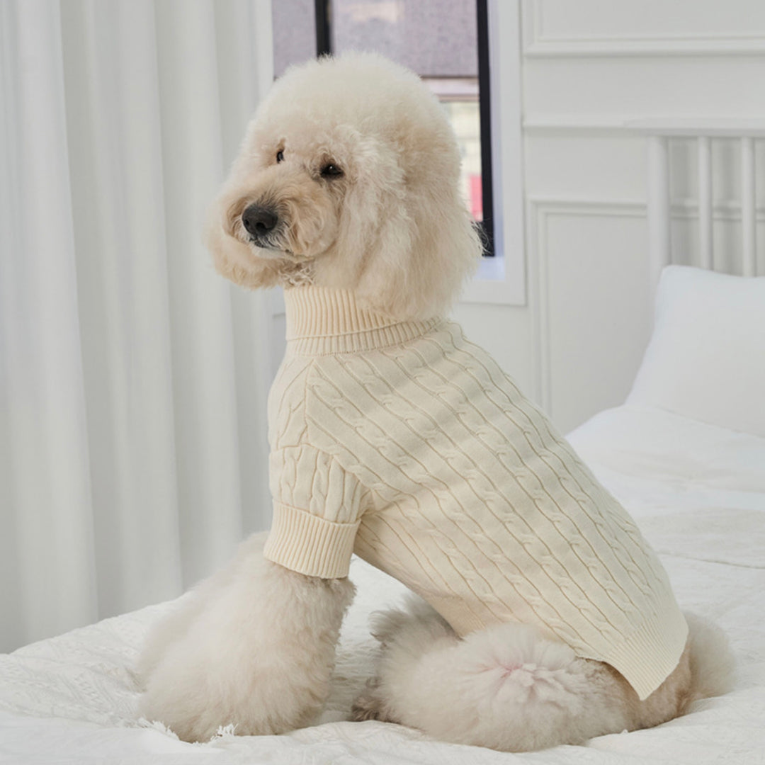 ※予約販売【Bailey】Teddy Pullover Knit（Cream）
