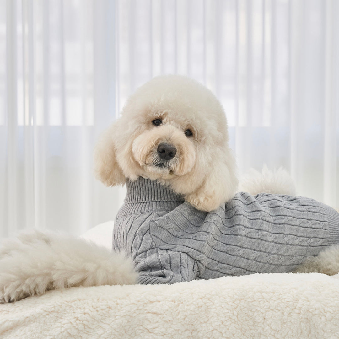 ※予約販売【Bailey】Teddy Pullover Knit（Gray）