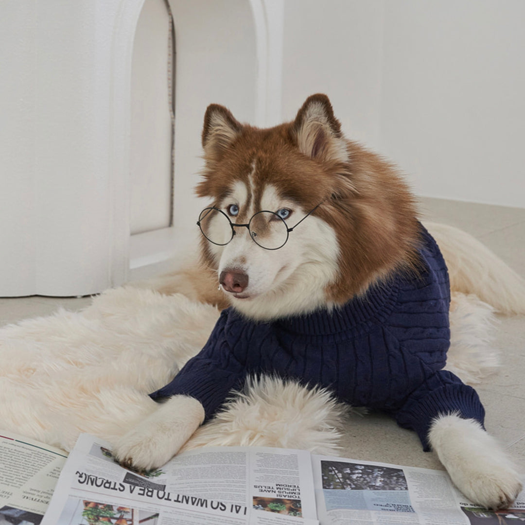 ※予約販売【Bailey】Teddy Pullover Knit（Navy）