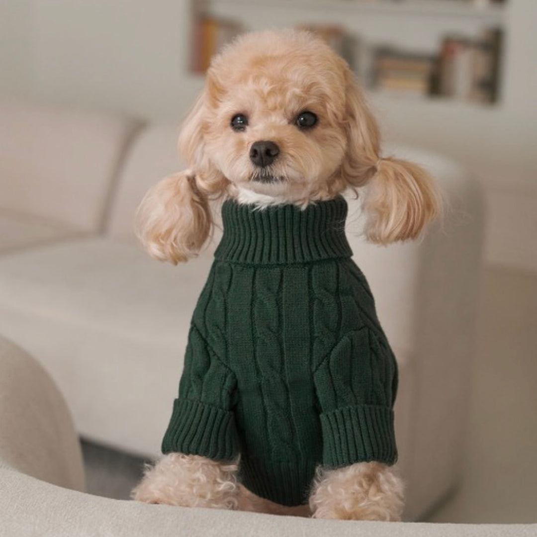 ※予約販売【Bailey】Teddy Pullover Knit（Green）