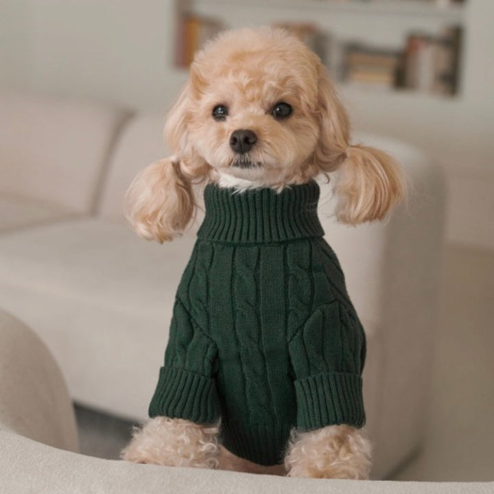 ※予約販売【Bailey】Teddy Pullover Knit（Green）