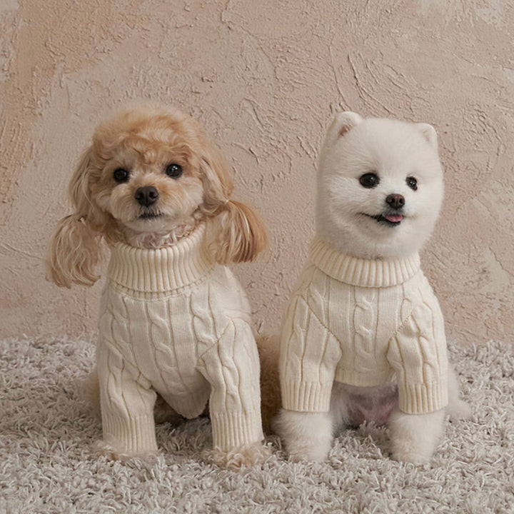 ※予約販売【Bailey】Teddy Pullover Knit（Cream）
