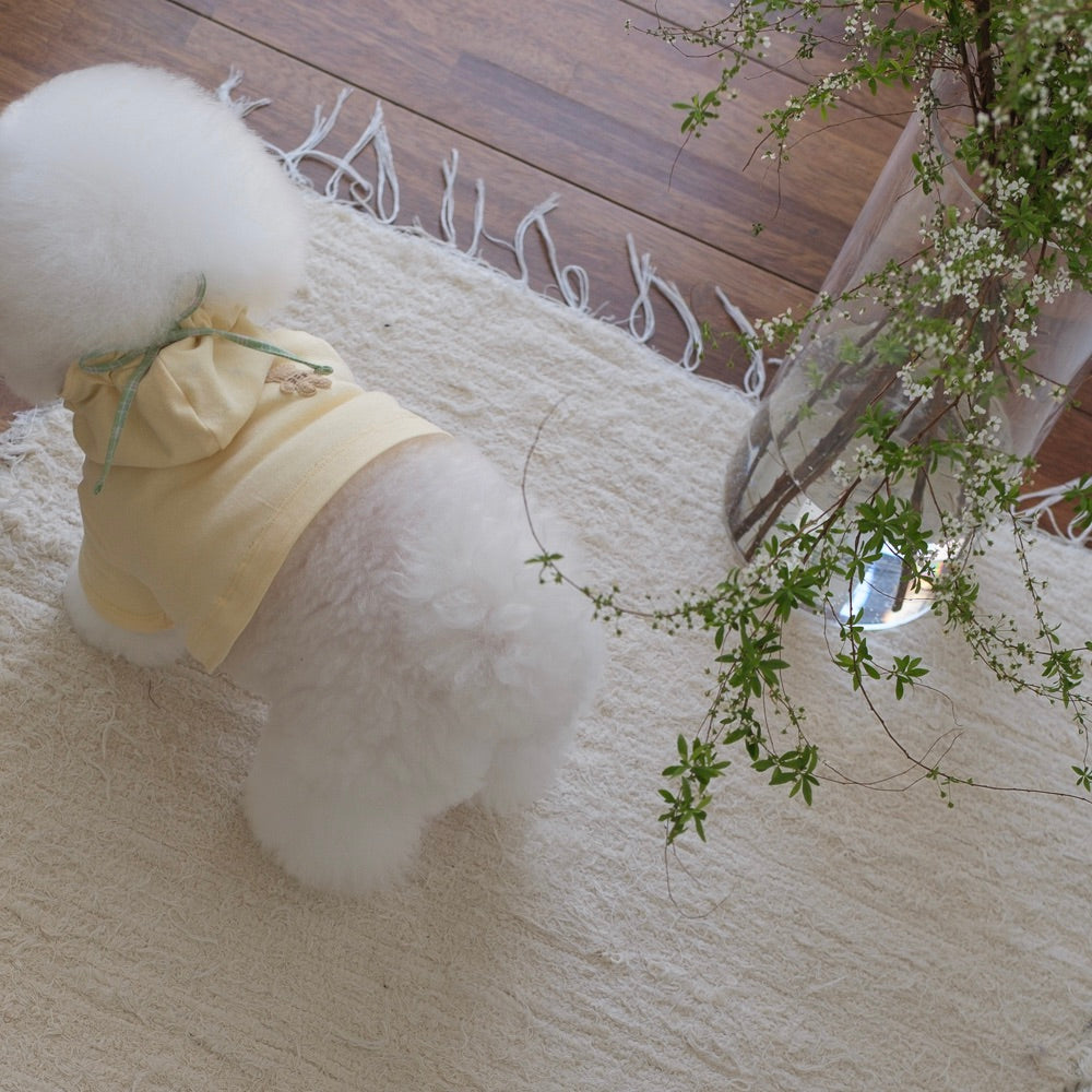 ※予約販売【BeBe Breath】Minty Bear Hoodie