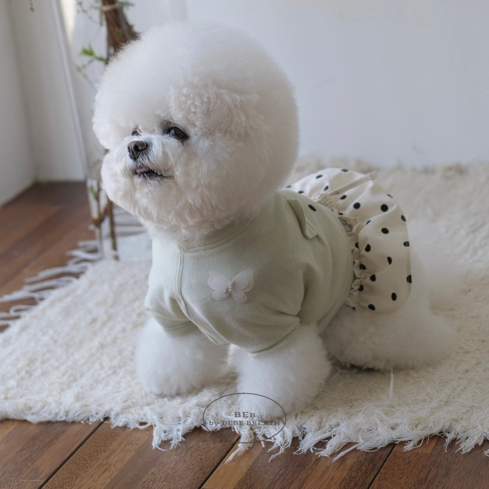 ※予約販売【BeBe Breath】Mumu Dolman Top（Green tea）