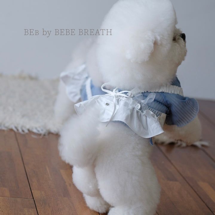 ※予約販売【BeBe Breath】White Low Rise Bustier