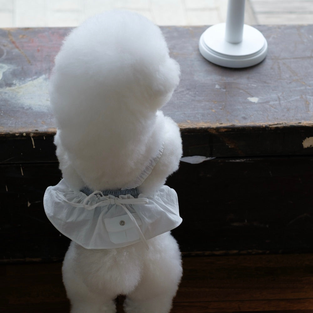 ※予約販売【BeBe Breath】White Low Rise Bustier